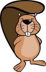 © Bundesweite Informatikwettbewerbe